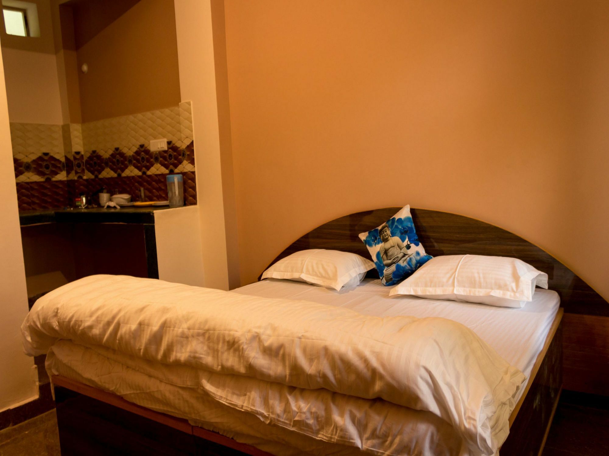 Oyo Home 13409 Cozy Stay 达兰萨拉 外观 照片